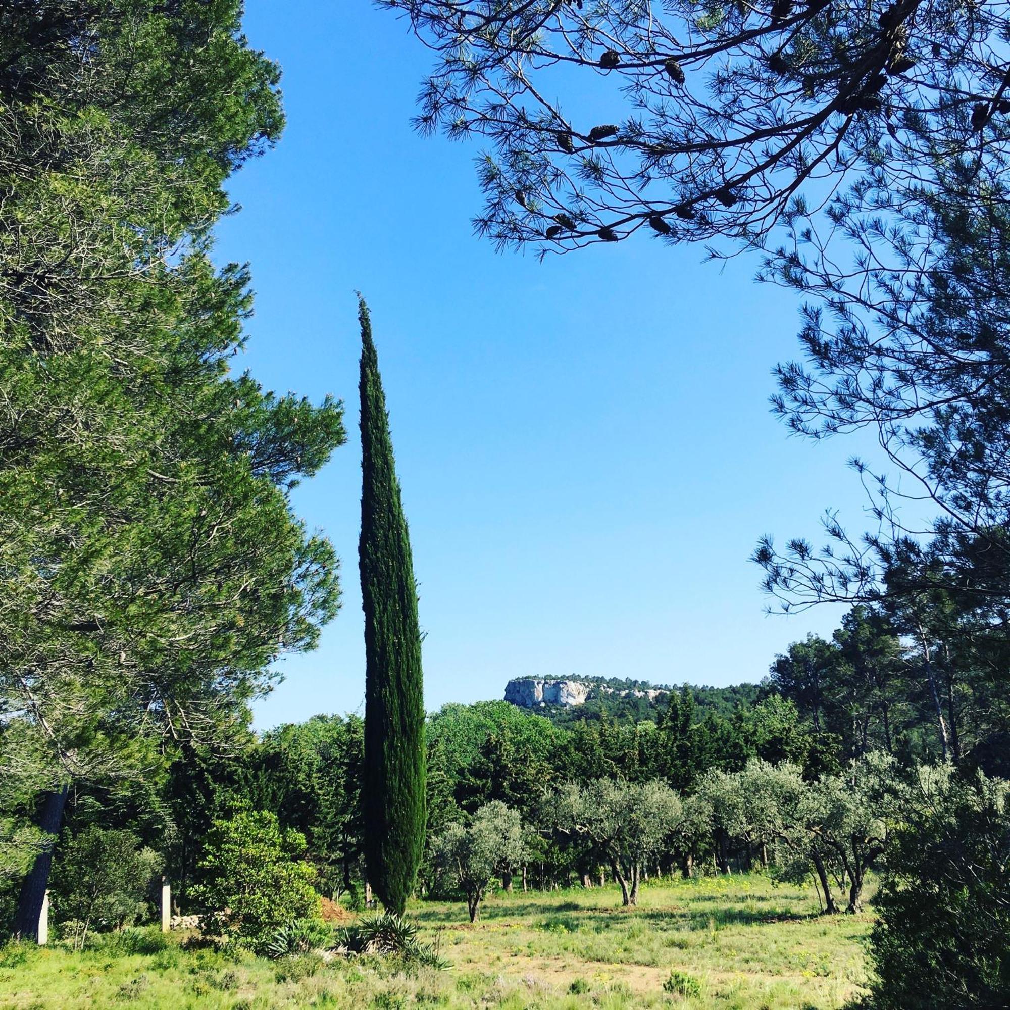Cabane De La Leque Fontvieille Exteriér fotografie