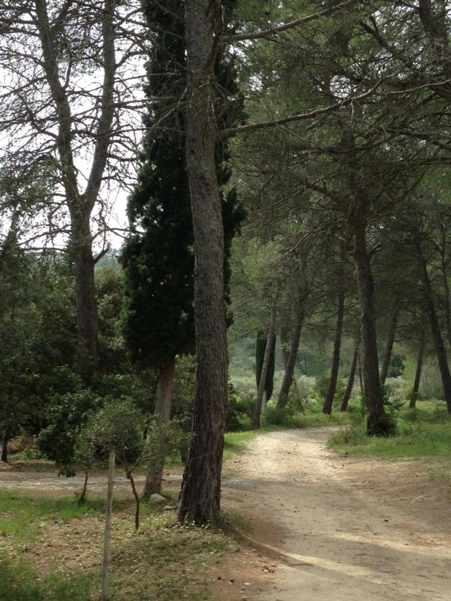 Cabane De La Leque Fontvieille Exteriér fotografie