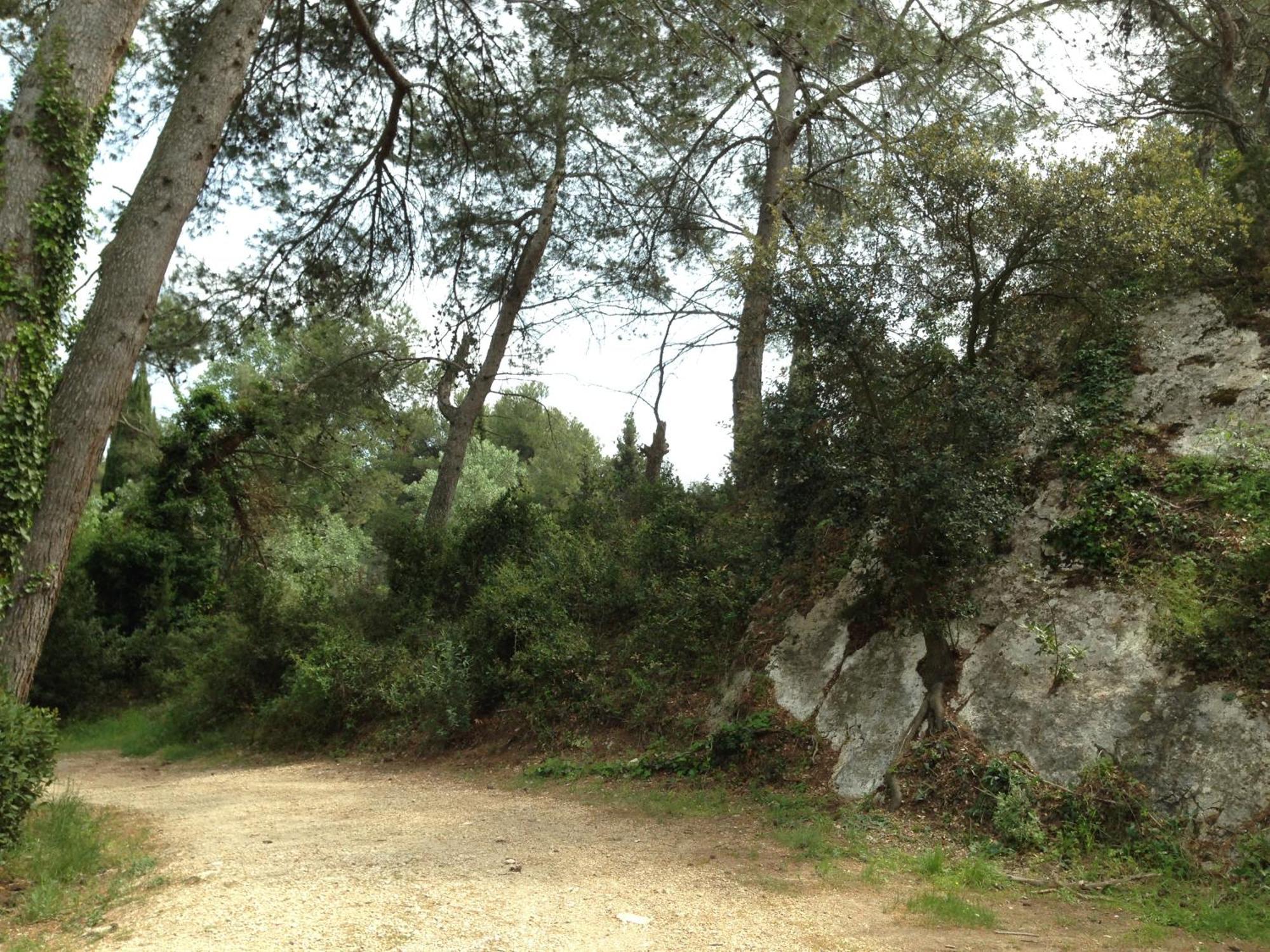 Cabane De La Leque Fontvieille Exteriér fotografie