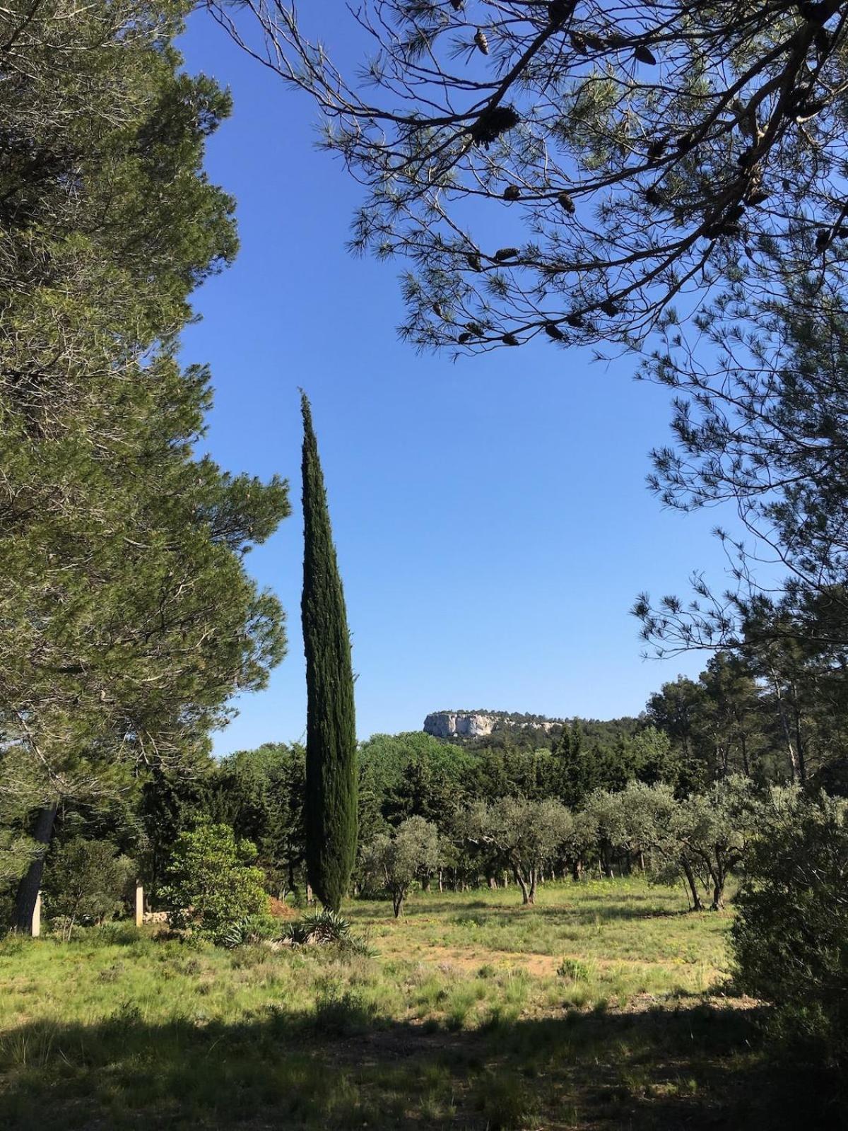 Cabane De La Leque Fontvieille Exteriér fotografie