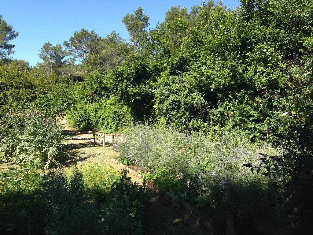 Cabane De La Leque Fontvieille Exteriér fotografie